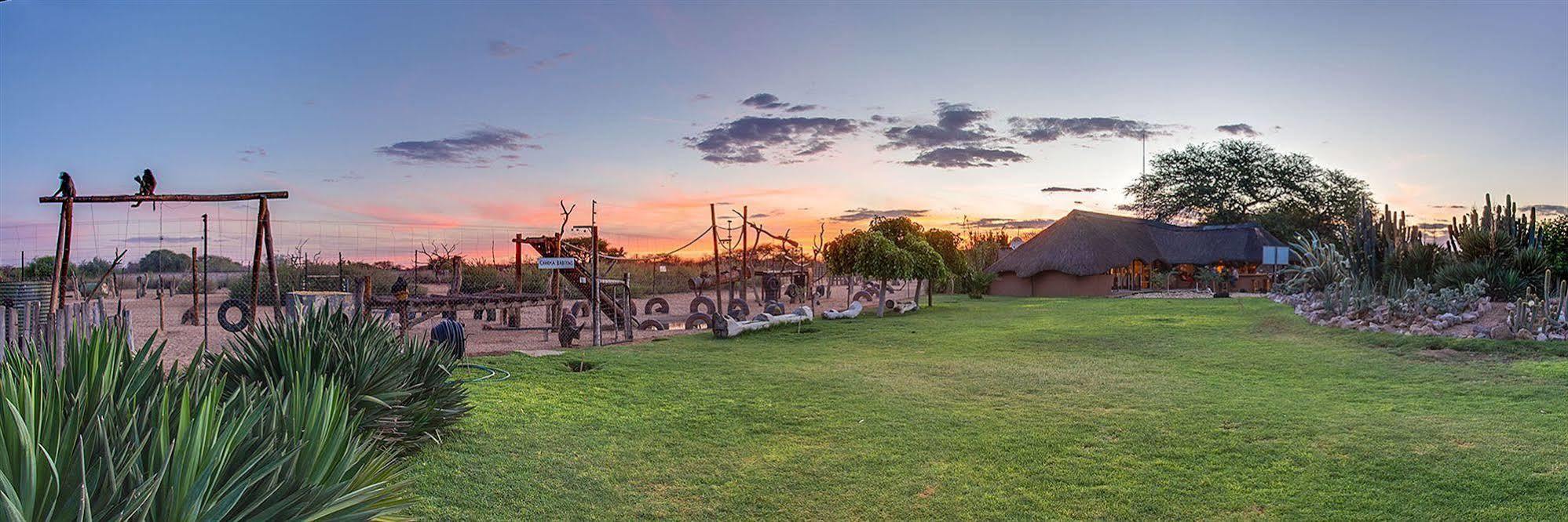 Harnas Wildlife Foundation Gobabis Kültér fotó